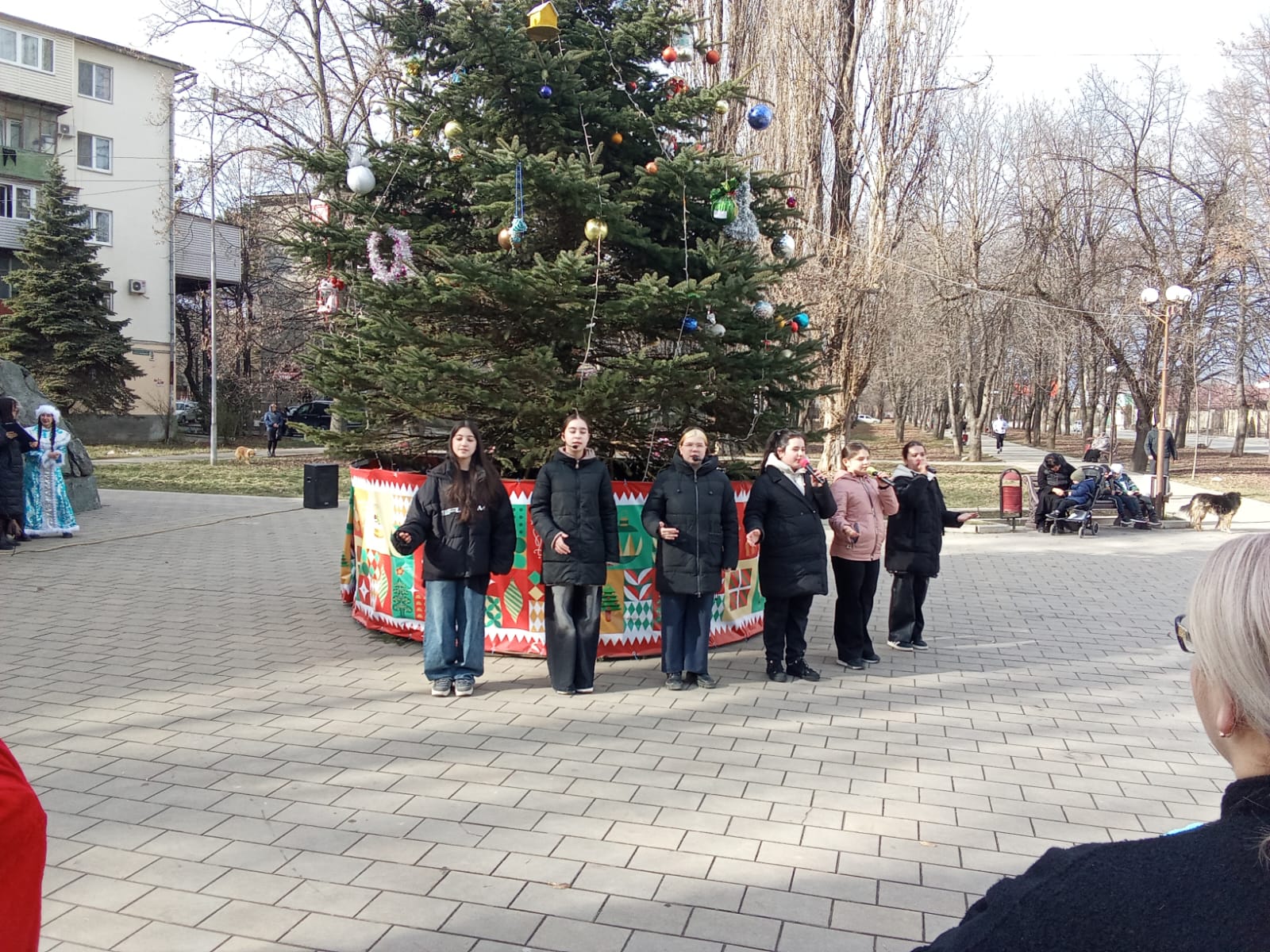 WhatsApp Image 2025-01-04 at 14.16.16 (2)